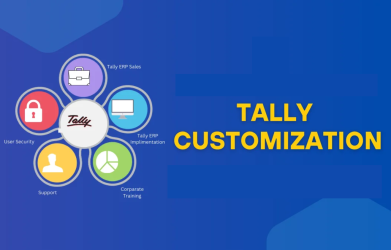 How to Choose the Right Tally Customization Partner for Your Business