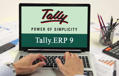 Why Is Tally Customization Important for Businesses