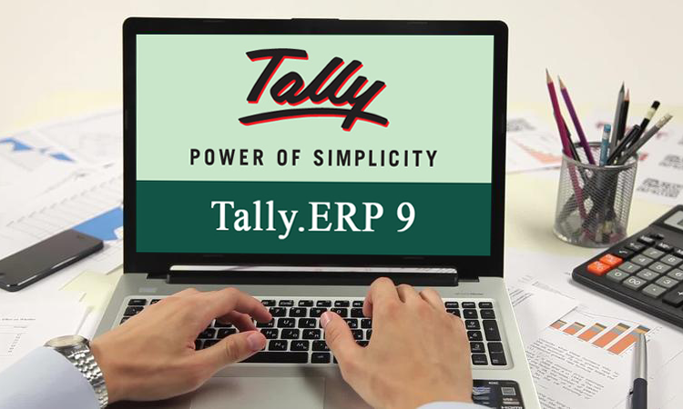 Why Is Tally Customization Important for Businesses