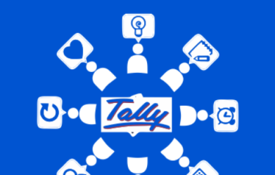 Exploring the Impact of Tally Implementation Services on Financial Performance