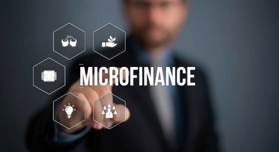The Impact of Micro Finance on Local Economies