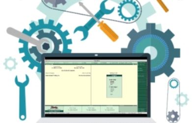 The Importance of Tally Customization Services in Streamlining Business Operations