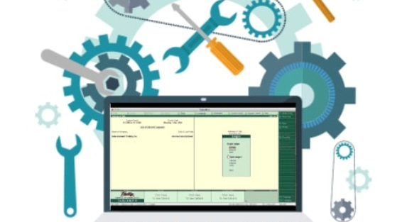 The Importance of Tally Customization Services in Streamlining Business Operations