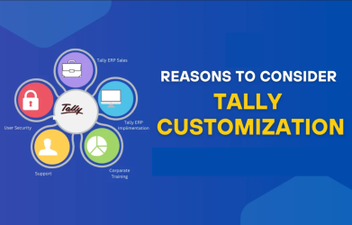 Discover the Advantages of Tally Customization Services for Small Businesses